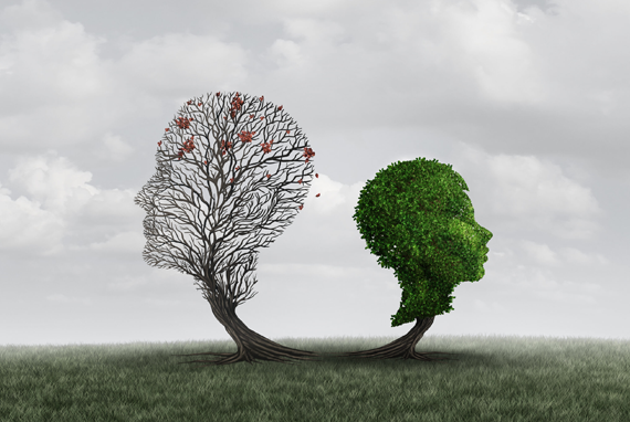 Bipolar Disorder - Image of two trees shaped like heads facing away from each other. One has leaves, one doesn't have leaves.
