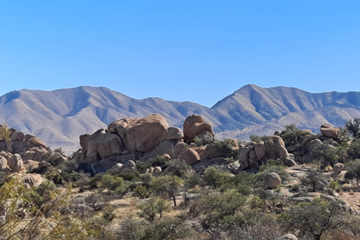 Develop Effective Strategies to Overcome Obstacles - Desert landscape with boulders in the foreground and Mountains on the horizon