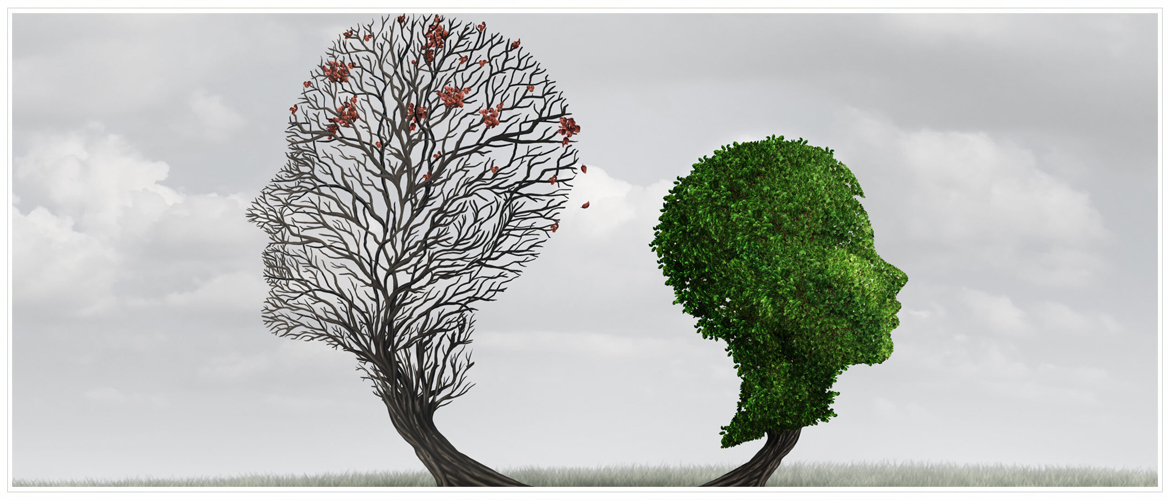 Bipolar Disorder - Hero Image - Two trees shaped like heads facing away from each other. One is barren the other is full of green leaves.